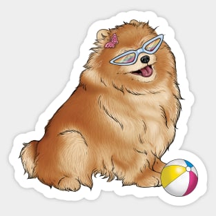 Pomeranian Sticker